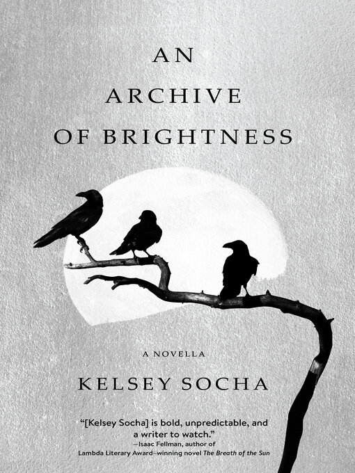 Title details for An Archive of Brightness by Kelsey Socha - Available